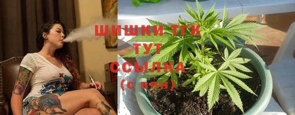 спайс Аркадак