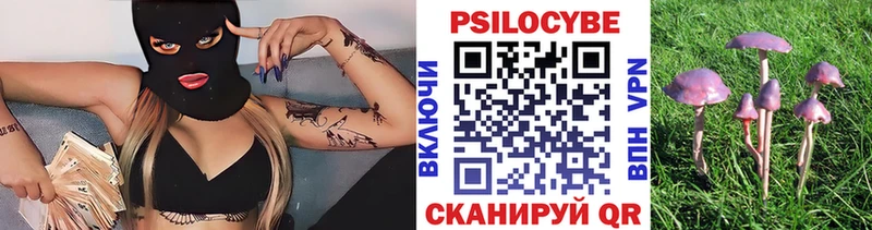 Псилоцибиновые грибы Psilocybine cubensis  где найти   Печоры 